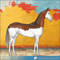 Horse Color:Bay Splash 