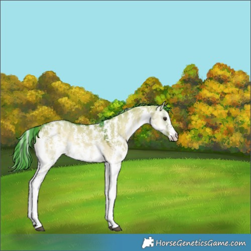 Horse Color:Watercolor Liver Red Dun Onyx Sabino 