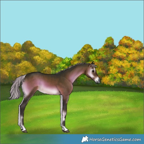 Horse Color:Gray Silver Brown Onyx Tobiano