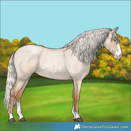 Horse Color:Silver Grullo Roan Pearl Sabino