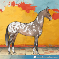 Horse Color:White Spotted Brown Dun Blanket Rabicano 