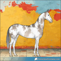 Horse Color:White Spotted Brown Dun Splash Rabicano 
