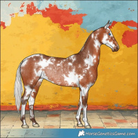 Horse Color:White Spotted Silver Brown Splash Rabicano 