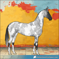 Horse Color:White Spotted Blue Roan Rabicano