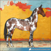 Horse Color:White Spotted Brown Rabicano 