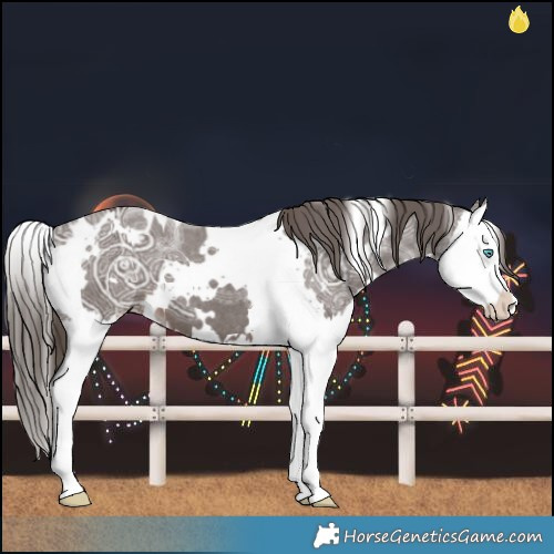 Horse Color:White Spotted Liver Chestnut Ice Splash Varnish 