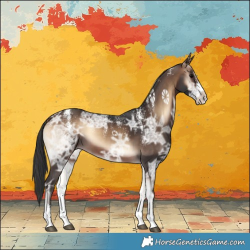 Horse Color:Powder White Brown Ice Onyx Sabino 
