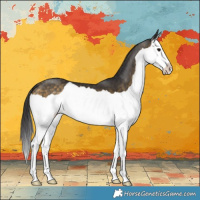 Horse Color:Buckskin Splash 