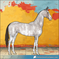 Horse Color:Liver Red Roan Sabino 