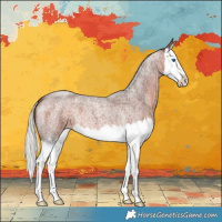 Horse Color:Silver Brown Roan Splash 