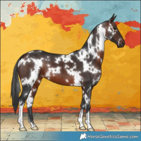 Horse Color:White Spotted Brown 