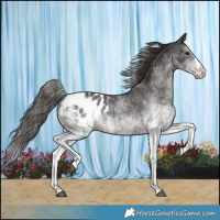 Horse Color:White Spotted Liver Chestnut Splash Blanket 