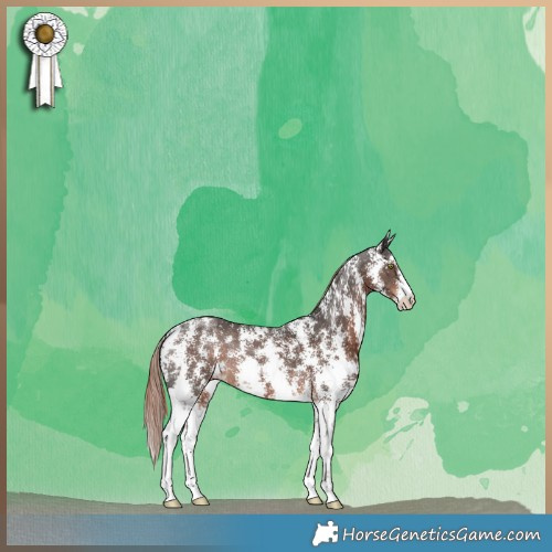Horse Color:Liver Chestnut Sabino Rabicano