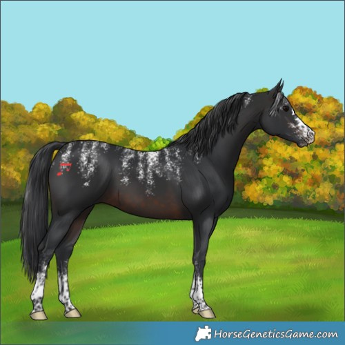 Horse Color:Powder White Brown