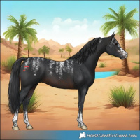 Horse Color:Powder White Brown