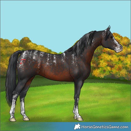 Horse Color:Powder White Brown 