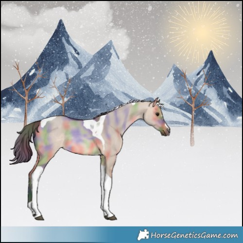 Horse Color:Nacre Bay Dun Tobiano