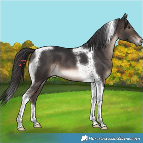 Horse Color:Brown Tobiano 