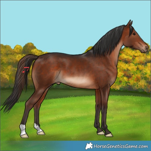 Horse Color:Brown 