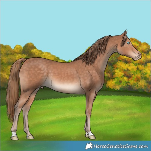 Horse Color:Perlino 