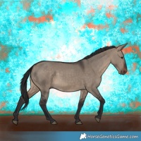 Horse Color:Brown Dun 