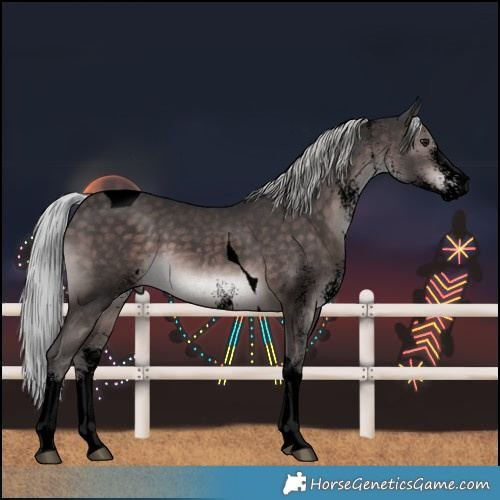 Horse Color:Void Platinum White Spotted Silver Brown Tobiano 