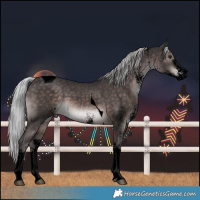 Horse Color:Void Platinum White Spotted Silver Brown Tobiano 