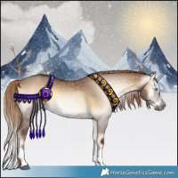 Horse Color:Gray Liver Red Dun Onyx Splash Rabicano 