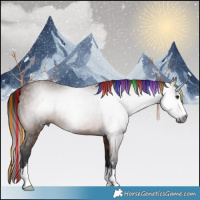 Horse Color:Gray Painted Bay