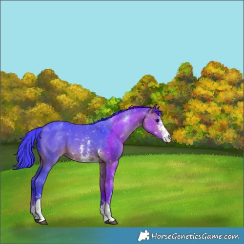 Horse Color:Watercolor Bay Sabino 