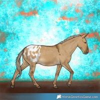 Horse Color:White Spotted Chocolate Palomino Dun Blanket 