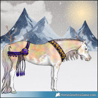 Horse Color:Nacre Palomino Splash