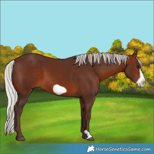 Horse Color:Silver Brown Frame