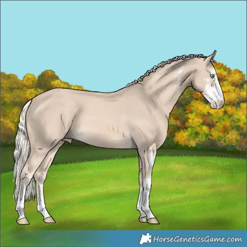 Horse Color:Cremello Sabino
