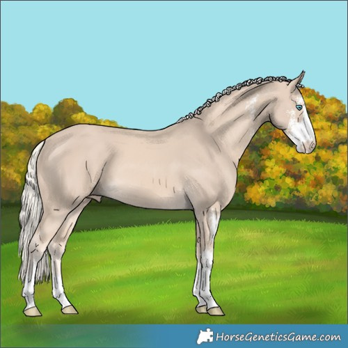 Horse Color:Cremello Sabino 
