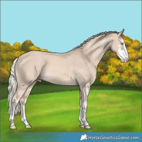 Horse Color:Cremello Sabino 
