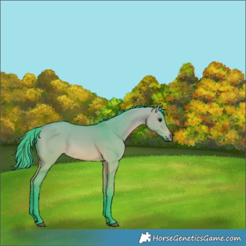Horse Color:Watercolor Bay Dun