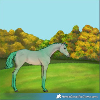 Horse Color:Watercolor Bay Dun