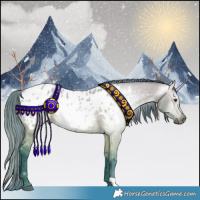 Horse Color:Gray Watercolor Buckskin Dun Appaloosa 
