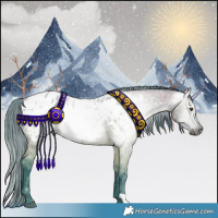 Horse Color:Gray Watercolor Buckskin Dun Near Leopard 