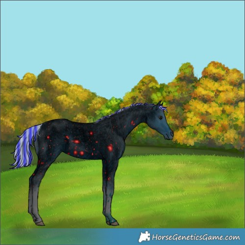 Horse Color:ERROR: UNKNOWN ANOMALY