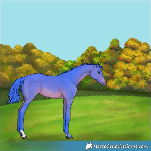 Horse Color:Watercolor Brown Tobiano