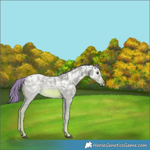 Horse Color:Watercolor Chestnut Ice 