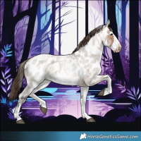 Horse Color:White Spotted Brown Roan Dun Frame Appaloosa 