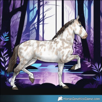 Horse Color:White Spotted Brown Roan Dun Frame Near Leopard 