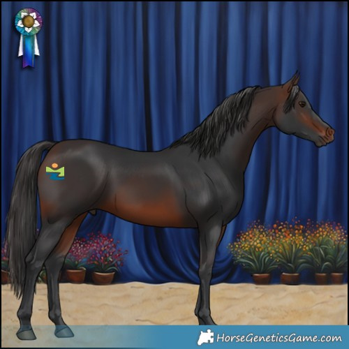 Horse Color:Brown 