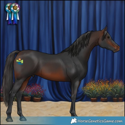Horse Color:Brown 