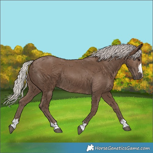 Horse Color:Silver Black 