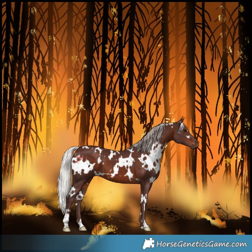 Horse Color:White Spotted Chocolate Silver Brown 