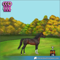 Horse Color:Brown 